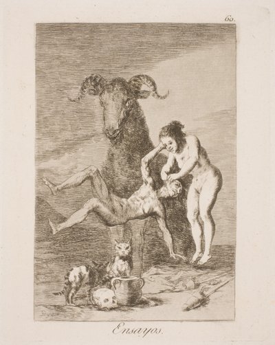 Experimento de Francisco de Goya