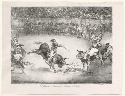  de Francisco de Goya