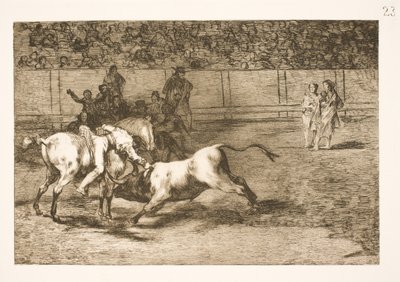Maria Ceballas, también llamada la india, mata al toro desde su caballo de Francisco de Goya