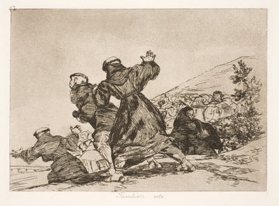También esto (43) de Francisco de Goya
