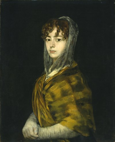 Señora Sabasa García, c.1806-11 de Francisco de Goya