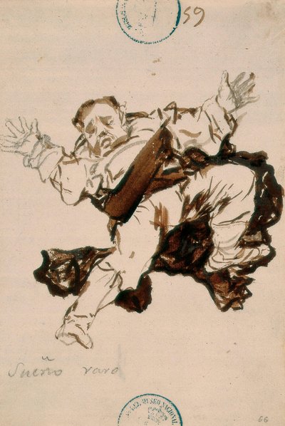 Sueño extraño de Francisco de Goya