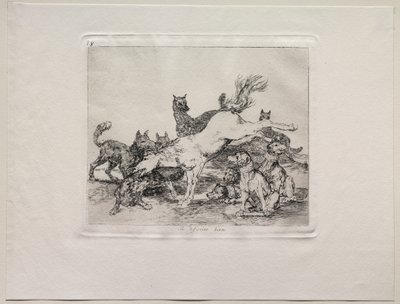 Los horrores de la guerra: Se defiende bien de Francisco de Goya