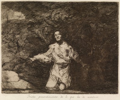  de Francisco de Goya