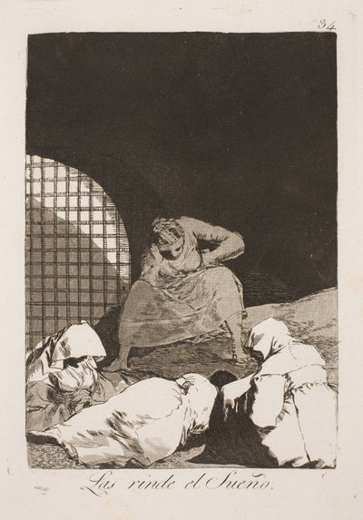 No los Despiertes, el Sueño es Quizás su Único Consuelo de Francisco de Goya