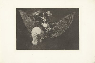 locura voladora Volante dispar Los Disparates (Las locuras) (título de la serie) Los Proverbios (Los Proverbios) (título de la serie) de Francisco de Goya