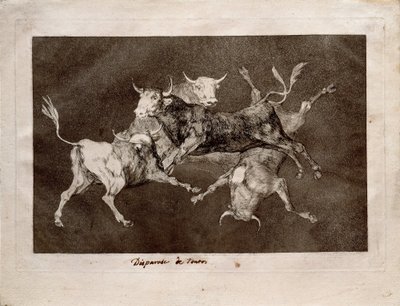 La locura del tonto de Francisco de Goya