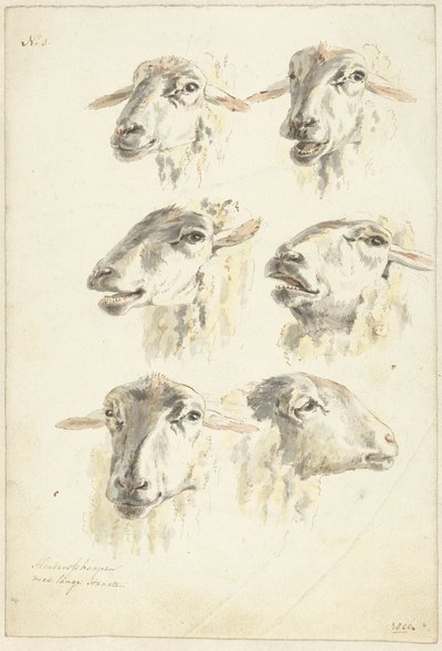 Hoja de estudio con seis cabezas de oveja de Franciscus Andreas Milatz (attributed to)