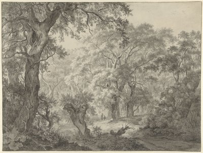 Paisaje forestal de Franciscus Andreas Milatz