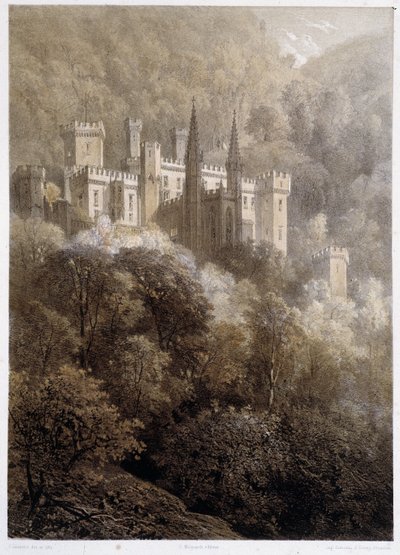 Castillo en una montaña de Alemania. En "El monumental y pintoresco Rin". Litografías de Fourmais y Stroobant de Francois Stroobant