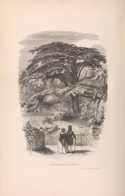 El Jardín de las Plantas, Descripciones y Costumbres de los Mamíferos, 1842 de Francois Boitard