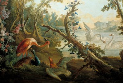 Cisnes y pavos reales de François Boucher
