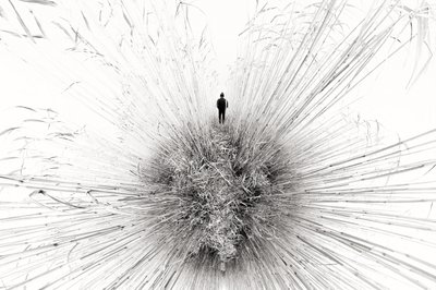 Una figura solitaria entre los juncos de Francois Casanova