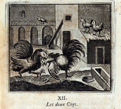 Ambos gallos. Fábulas de Jean de La Fontaine (1621-95). Ilustración de François Chauveau (1613-1676). Edición de 1728 de Francois Chauveau