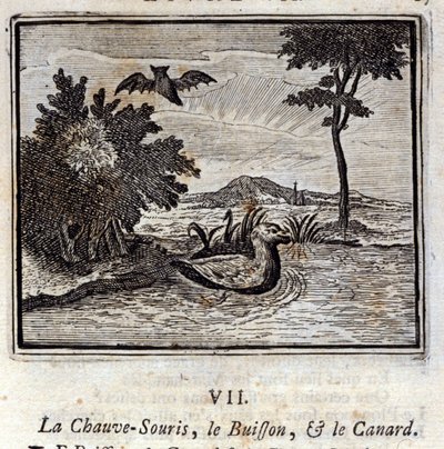 El murciélago, el arbusto y el pato. Fábulas de Jean de La Fontaine. Ilustración de François Chauveau. Edición de 1728. de Francois Chauveau