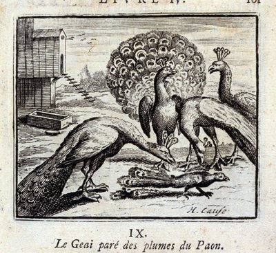 El arrendajo adorna plumas de pavo real. Fábulas de Jean de La Fontaine. Ilustración de François Chauveau. Edición de 1728. de Francois Chauveau
