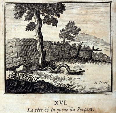 La cabeza y la cola de la serpiente. Fábulas de Jean de La Fontaine (1621-95). Ilustración por François Chauveau (1613-1676). Edición de 1728. de Francois Chauveau