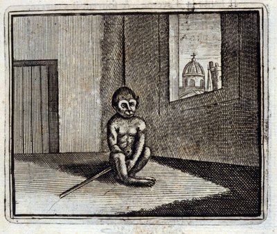 El mono. Fábulas de Jean de La Fontaine (1621-95). Ilustración de François Chauveau (1613-1676). Edición de 1728 de Francois Chauveau