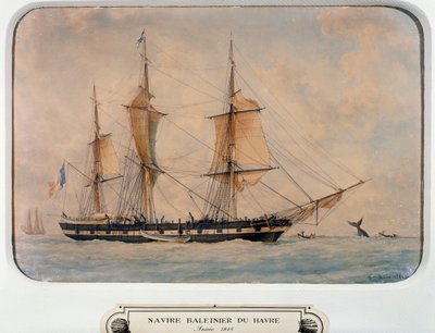 Barco ballenero en Havre de Francois Geoffroy Roux