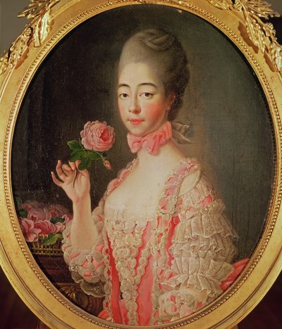 Marie-Josephine Louise de Savoie (1753-1810) Condesa de Provenza de Francois Hubert Drouais