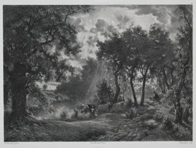 Después de la lluvia de Francois Louis Francais