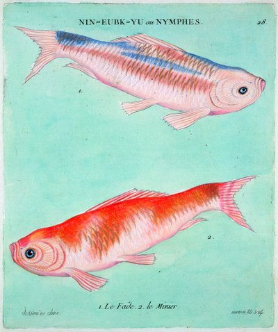 Peces dorados chinos, siglo XVIII de Francois Nicolas Martinet
