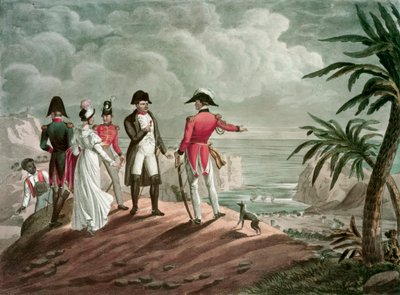 Bonaparte en Santa Elena de Francois Nicolas Martinet