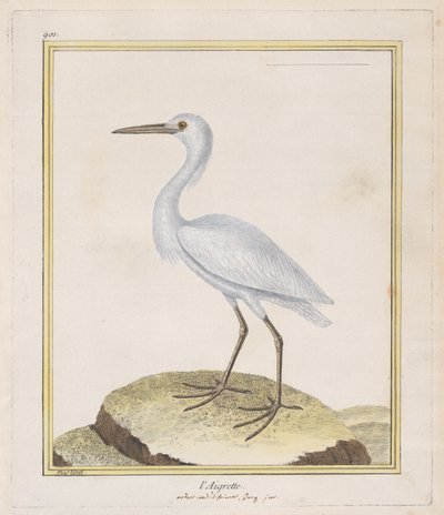 La Garceta de Francois Nicolas Martinet
