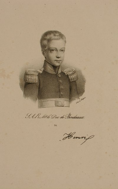 Henri Charles Ferdinand Marie Dieudonne de Francia, Duque de Burdeos, Conde de Chambord de Francois Seraphin Delpech