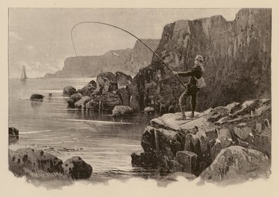 Pesca de la lubina (grabado) de Frank (after) Feller