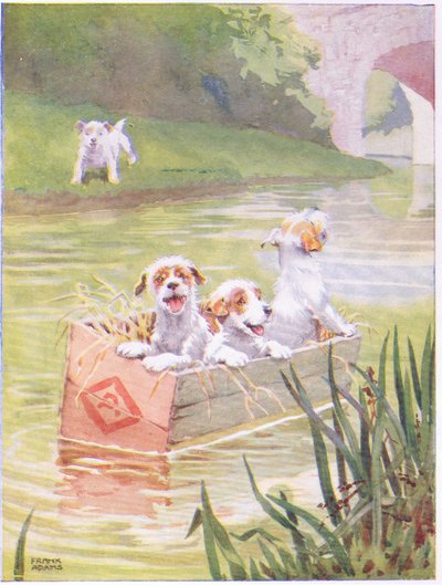 A la deriva de Frank Adams