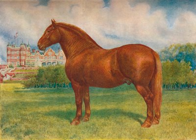 Suffolk sire Prince Wedgwood, c1902 c1910 de Frank Babbage