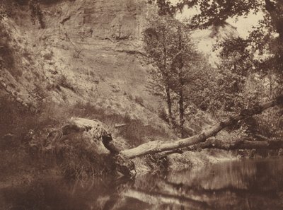 Ribera, c. 1855 de Frank Chauvassaigne