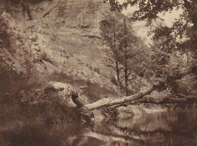 Ribera del río,c. 1855 (foto) de Frank Chauvassaigne