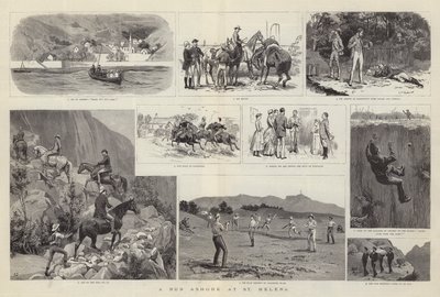 Una excursión en St Helena de Frank Dadd