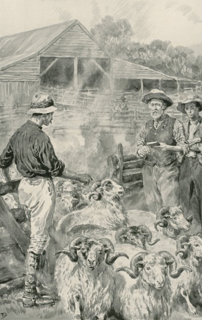 Una Estación de Ovejas en las Llanuras de Canterbury de Frank Dadd