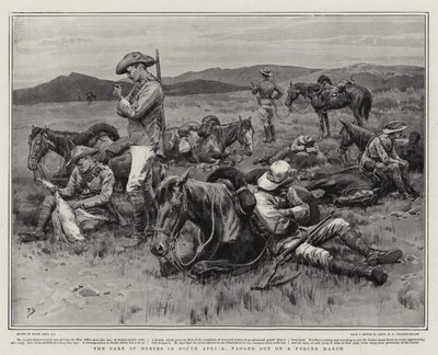 El cuidado de los caballos en Sudáfrica, agotados en una marcha forzada de Frank Dadd