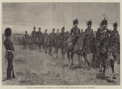 La gran revisión voluntaria en Windsor, la Compañía de Artillería Honorable desfilando ante la Reina de Frank Dadd
