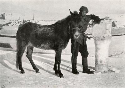 Gran con mula Lal Khan, c1911 de Frank Debenham