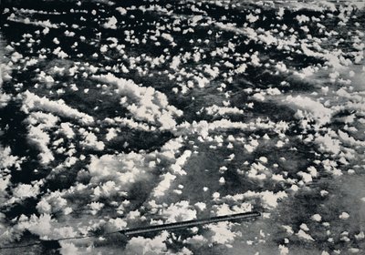 Flores de Hielo en Hielo Marino Recién Formado, 1912, 1913 de Frank Debenham