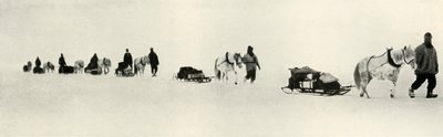 Ponis en marcha, 1911, 1913 de Frank Debenham