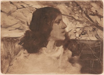 Cabeza de una Mujer de Frank Duveneck