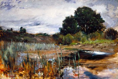  de Frank Duveneck