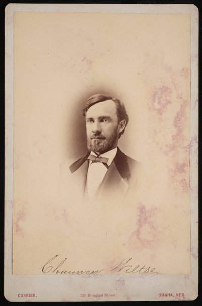 Retrato de Chauncey Wiltse de Frank F Currier