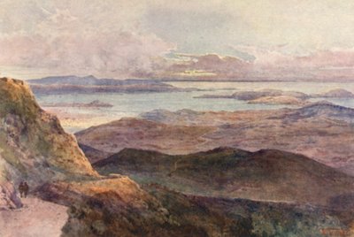 Nueva Zelanda: Coromandel (litografía en color) de Frank H Wright