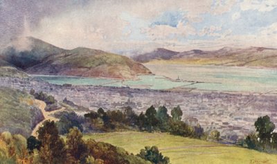 Nueva Zelanda: Dunedin (litografía en color) de Frank H Wright