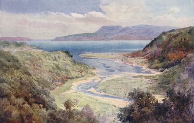 Nueva Zelanda: Lago y Monte Tarawera (litografía en color) de Frank H Wright