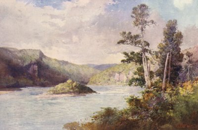 Nueva Zelanda: White Cliffs, Buller River (litografía en color) de Frank H Wright