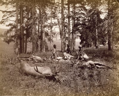 Cazadores de Alces, Yellowstone, c.1880 de Frank Jay Haynes