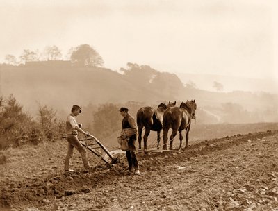 Agricultores arando un campo en Lealholm Hall Farm, Whitby, c.1889 de Frank Meadow Sutcliffe